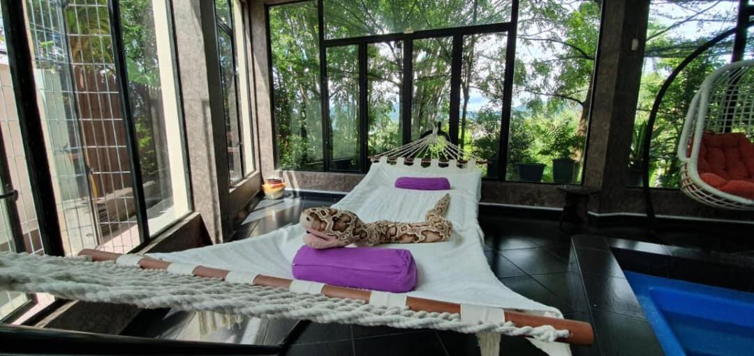 Zoo Villa With Private Pool @ Ampang Kl Zewnętrze zdjęcie